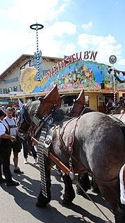 Feisinger's Kas- und Weinstub'n auf dem Oktoberfest 2018